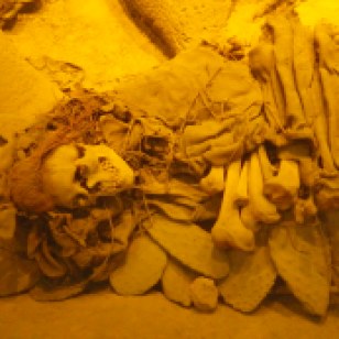 Reconstructed burial with corpse placed on a pile of Opuntia pads.