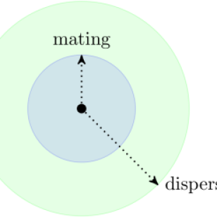 Relative ranges of mating and dispersal vary among species.